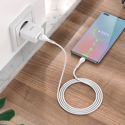 Сетевое зарядное устройство, 1 USB 2.1A (N9), HOCO, Micro, Fast Charge, Безопасный сертификат, белый