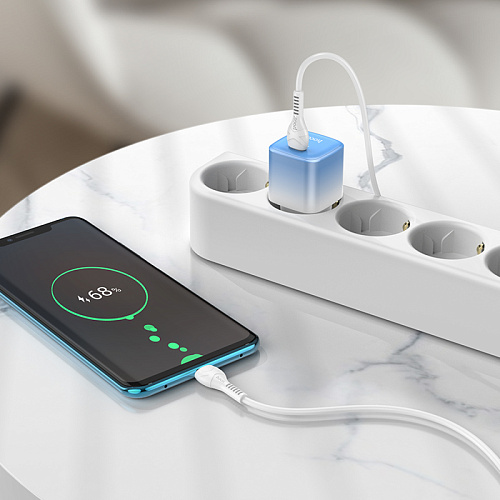 Сетевое зарядное устройство, 1 PD 20W + 1 USB 3.0 QC (C101A), HOCO, Type-C to Type-C, голубой с белым