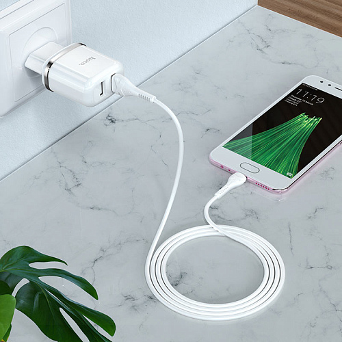 Сетевое зарядное устройство, 2 USB 2.4A 12W (N4), HOCO, Micro, Умная зарядка, белый