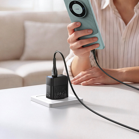 Сетевое зарядное устройство, 1 USB 3.0 QC 22.5W (CS111A), HOCO, черный