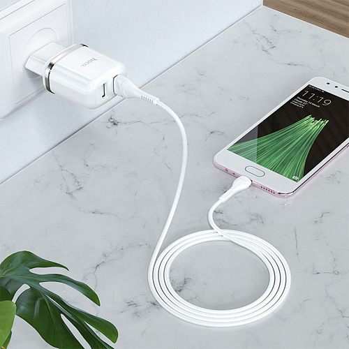 Сетевое зарядное устройство, 2 USB 2.4A 12W (N4), HOCO, Type-C, Умная зарядка, белый