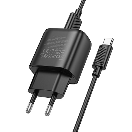 Сетевое зарядное устройство, 2 USB 2.1A (C141A), HOCO, Type-C, черный
