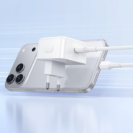 Сетевое зарядное устройство, 1 PD 40W (C161A), HOCO, Type-C to Type-C, цвет белый