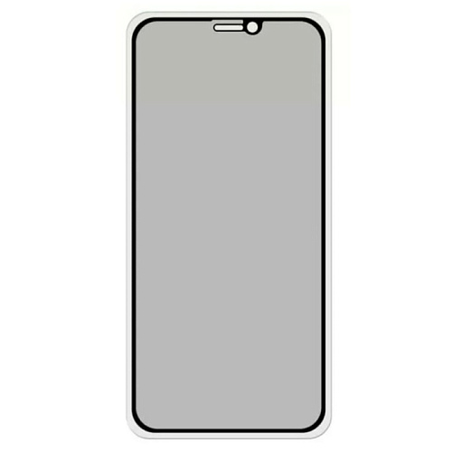 Защитное стекло на iPhone 12 Pro Max  (6.7), Privacy, черное, X-CASE