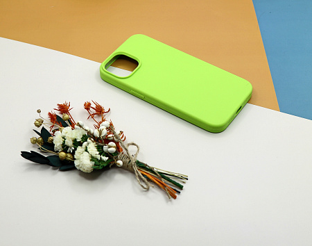 Чехол-накладка для iPhone 14, Silicon Case, без лого, зеленый
