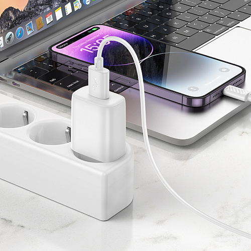 Сетевое зарядное устройство, 1 USB 2.4A (C134A), HOCO, Lighting, белый