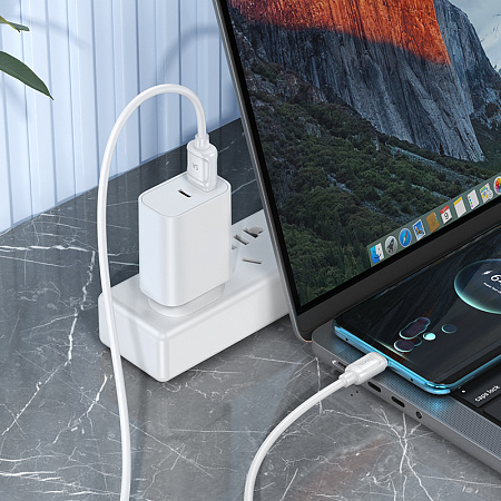 USB Кабель Type-C, HOCO, X115, 100W, 1 метр длина, цвет белый