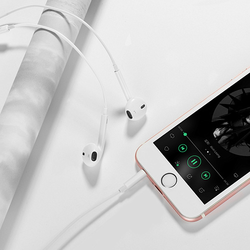 Проводные наушники M101, Crystal joy wire-controlled earphones with microphone, HOCO, белые
