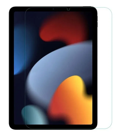    iPad mini 6/iPad Mini (2021)