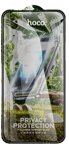 Защитное стекло на iPhone XS Max/11 Pro Max (G11), HOCO, Full screen HD privacy protection tempered glass, черное