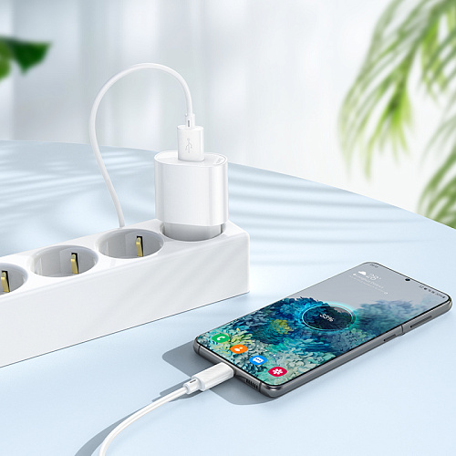 Сетевое зарядное устройство, 1 USB 10.5W (C109A), HOCO, белый