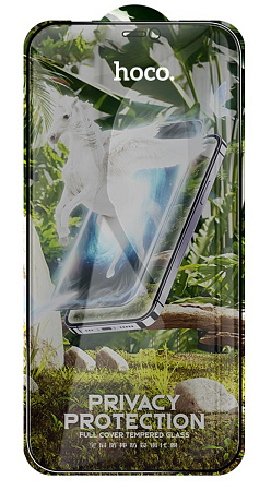 Защитное стекло на iPhone 12 (6.1)/12 Pro (6.1) G11, HOCO, Full screen HD privacy protection tempered glass, черное