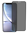 Защитное стекло на iPhone XR/11 (6.1), Anti-blue ray матовый, черный, X-CASE Защитное стекло на iPhone XR/11 (6.1), Anti-blue ray матовый, черный, X-CASE