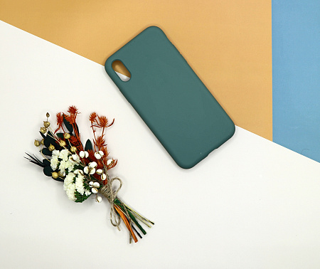 Чехол-накладка для iPhone X/XS, Silicon Case, без лого, зеленый лес